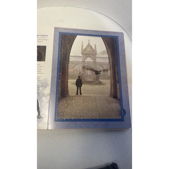 Lot Of Harry Potter Mattel Doll Álbus,Wand Lighted 14” TM & c WBEI(s16) And S20 - Picture 10 of 16